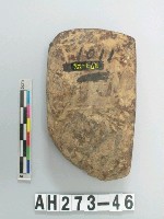 藏品(有段石錛)的圖片